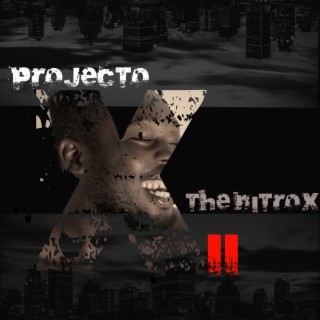 Projecto XII