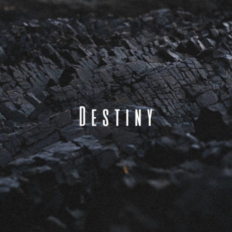 Destiny | Boomplay Music