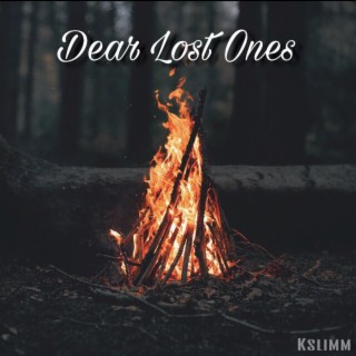 Dear Lost Ones