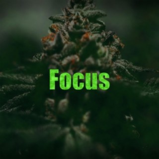 Focus