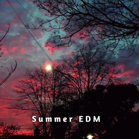Summer Edm | Boomplay Music