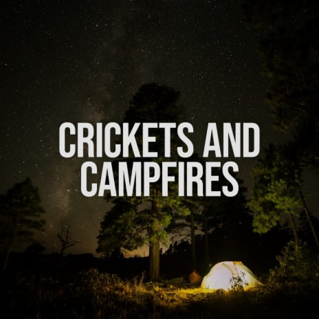 Cozy Crackling Campfire at Night ft. Nature on Record | Boomplay Music