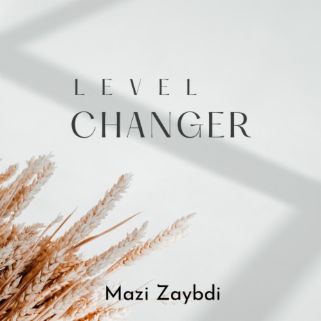 Level Changer | Boomplay Music