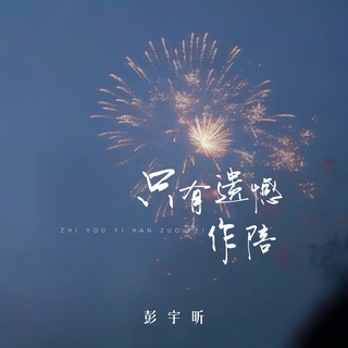 只有遗憾作陪 lyrics | Boomplay Music