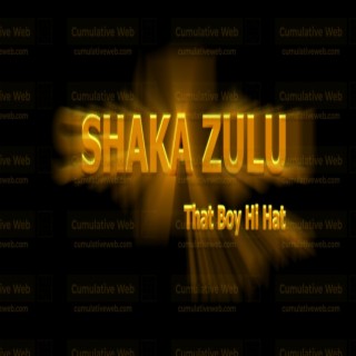 SHAKA ZULU lyrics | Boomplay Music