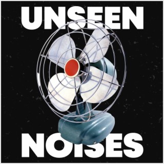 Unseen Noises