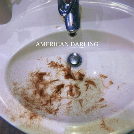 american darling | Boomplay Music