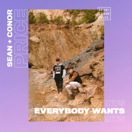 Everybody Wants | Boomplay Music