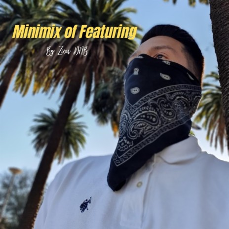 Minimix ft. Zion DNB | Boomplay Music