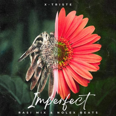 Imperfect | Boomplay Music