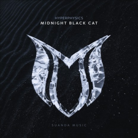 Midnight Black Cat (Original Mix)