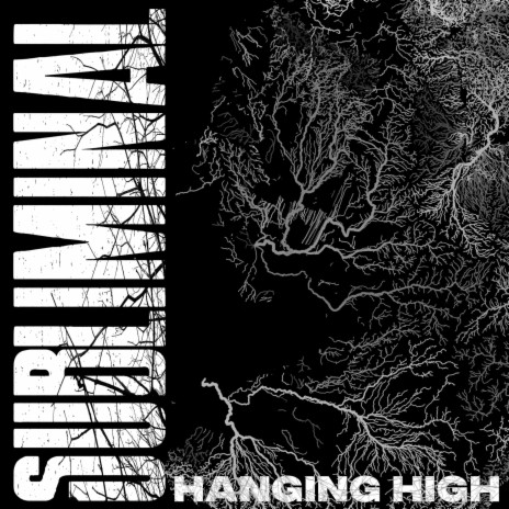 Hanging High | Boomplay Music