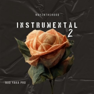 Instrumental 2