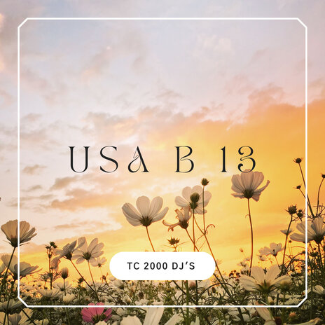 Usa b13