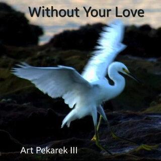 Without Your Love