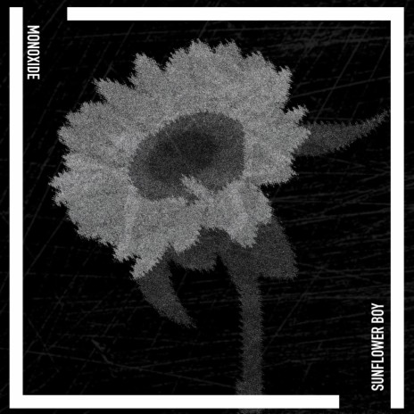 Sunflower Girl | Boomplay Music