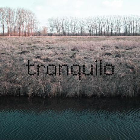 tranquilo | Boomplay Music