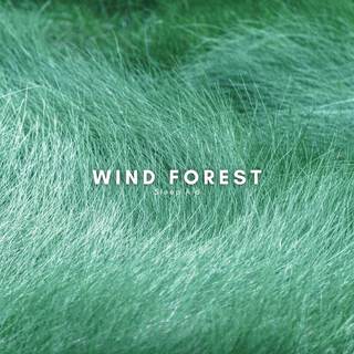 Wind Forest Sleep Aid