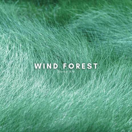 Wind Forest Sleep Aid ft. Natural Sounds Selections & Nature Sound Collection