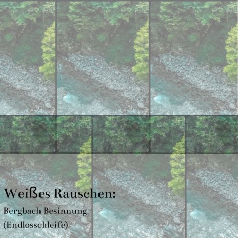 Weißes Rauschen: Nebelwald Flüstern (Endlosschleife)