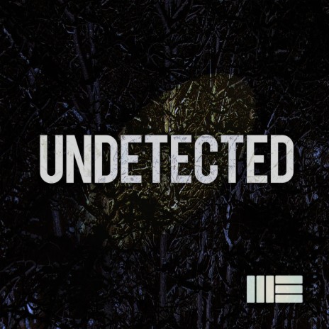 Undetected (Remix)