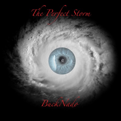 THE PERFECT STORM | Boomplay Music