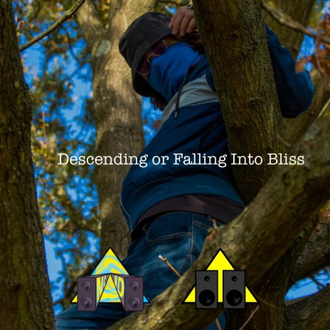 Descending or Falling Into Bliss