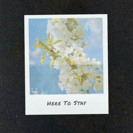 Here to Stay | Boomplay Music