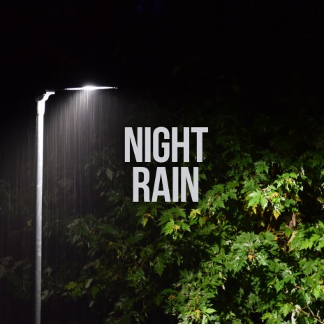 Rainfall at Night ft. Nature on Record