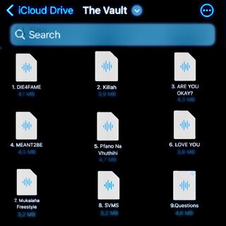 THE VAULT