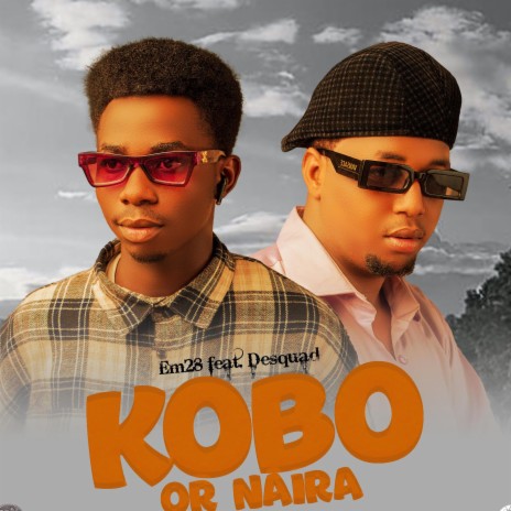 Kobo or Naira