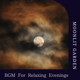 Bgm for Relaxing Evenings