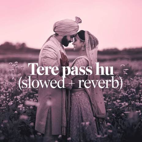 Tere Pass Hu (Slowed + Reverb) | Boomplay Music