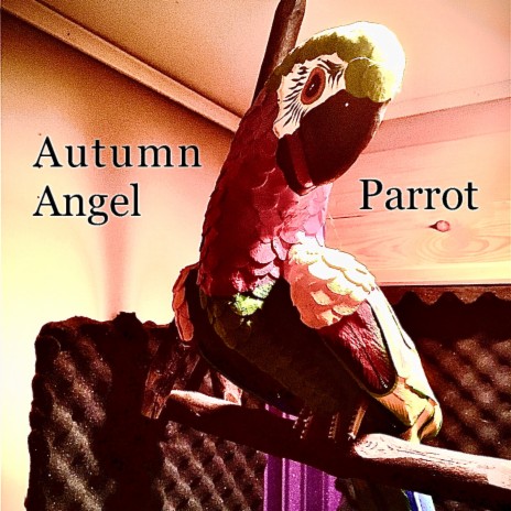 Parrot | Boomplay Music
