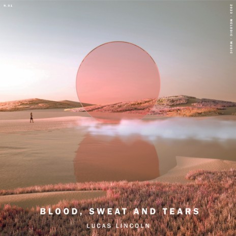 Blood, Sweat and Tears | Boomplay Music