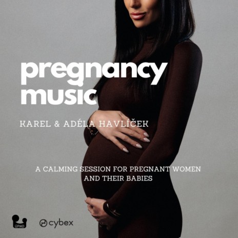 Pregnancy Music | Boomplay Music