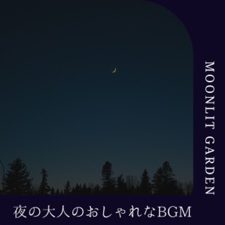 夜の大人のおしゃれなbgm