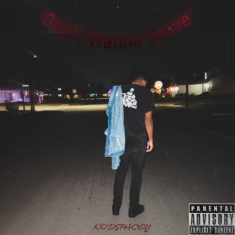 Don't Wanna Leave | Boomplay Music