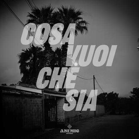 Cosa vuoi che sia | Boomplay Music