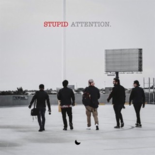 Stupid Attention