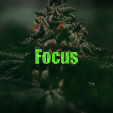 Focus | Boomplay Music