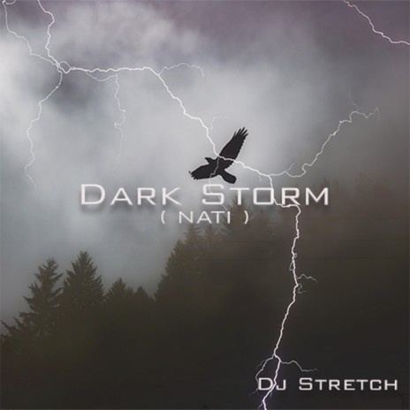 Dark Storm (NATI) | Boomplay Music