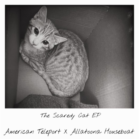 Scaredy Cat ft. Allatoona Houseboat