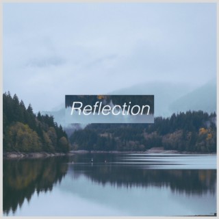 Reflection