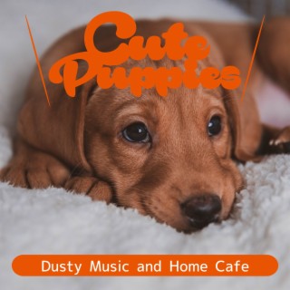 Dusty Music and Home Cafe