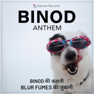 Binod Anthem ft. Addy 323, Abhishek Naik & Srajan lyrics | Boomplay Music