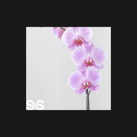 Orchid | Boomplay Music