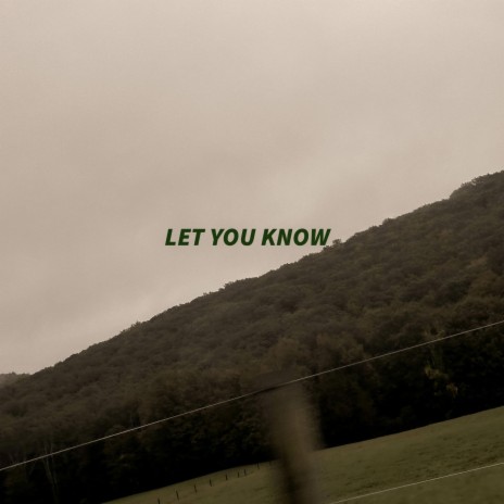 Let You Know ft. AP Stiel | Boomplay Music