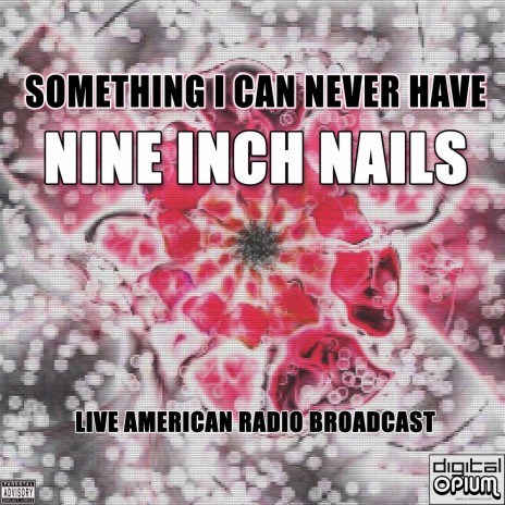 Nine Inch Nails Sin｜TikTok Search