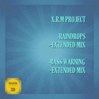 Raindrops / Bass Warning